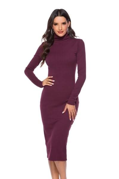 Ribbed Turtleneck Long Sleeve Dress - LustMia