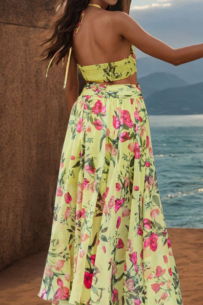 Backless Printed Plunge Sleeveless Dress - LustMia