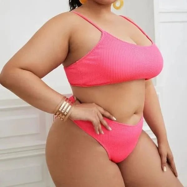 Women Plus Size Bikini Solid Color Bikini Two Piece High Waist Bikini Swimsuit Swimwear Gather Bikini Swimming Beach - LustMia