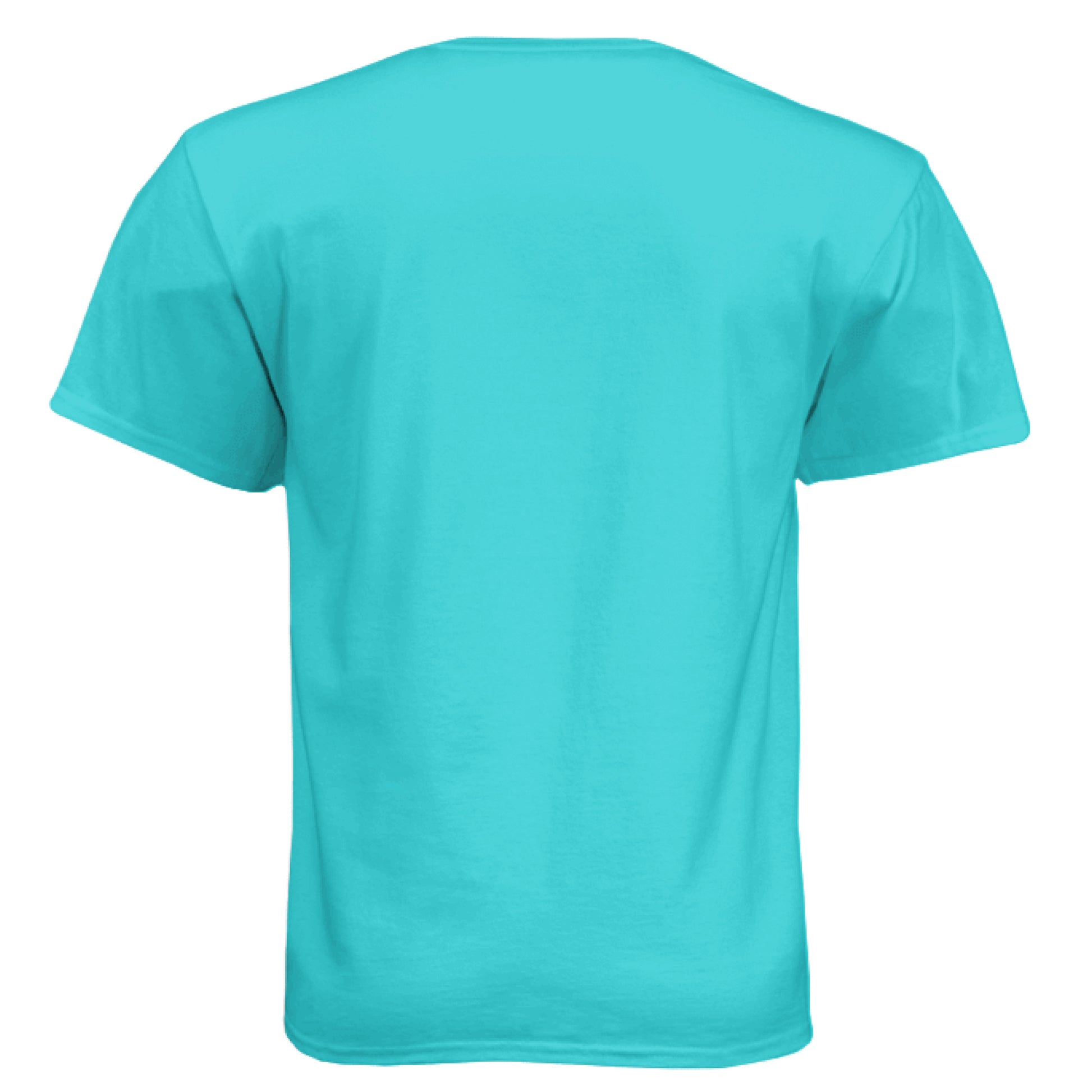 Tahiti Blue - FREEDOM graphic t-shirt with sky and cloud design – Lustmia streetwear.